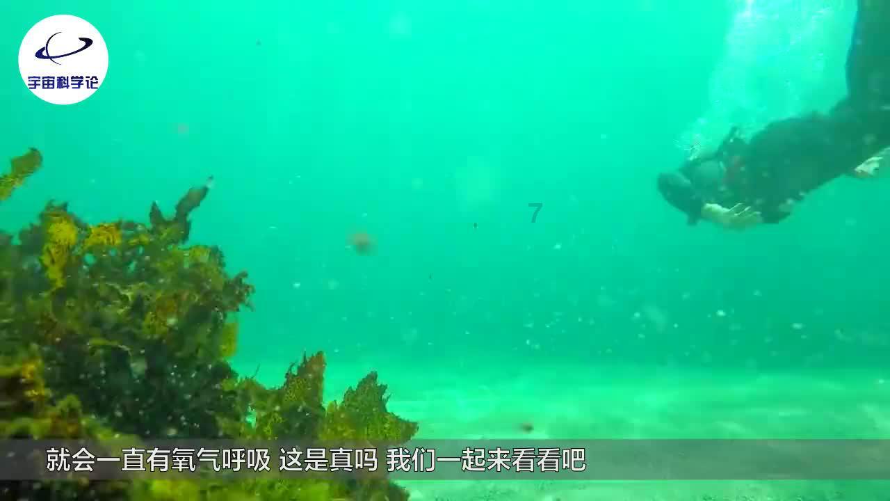 除了他, 津门虎还有 “国字号新援” ……