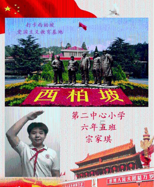 拯救毛茸茸男人