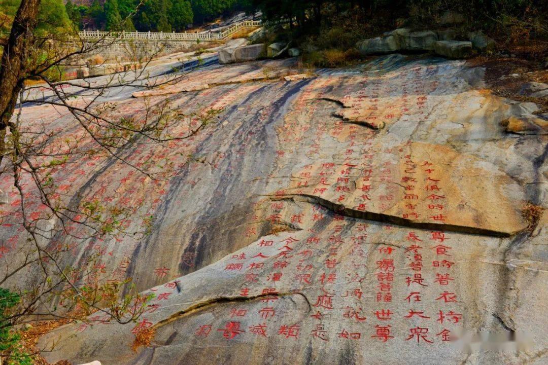 逃离倒影森林